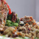 Orgía de Mariscos