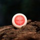 POMADA  Jalea Real CBD (120mg. - 1,4oz)